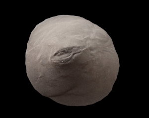 实形铸造法的铸造种类