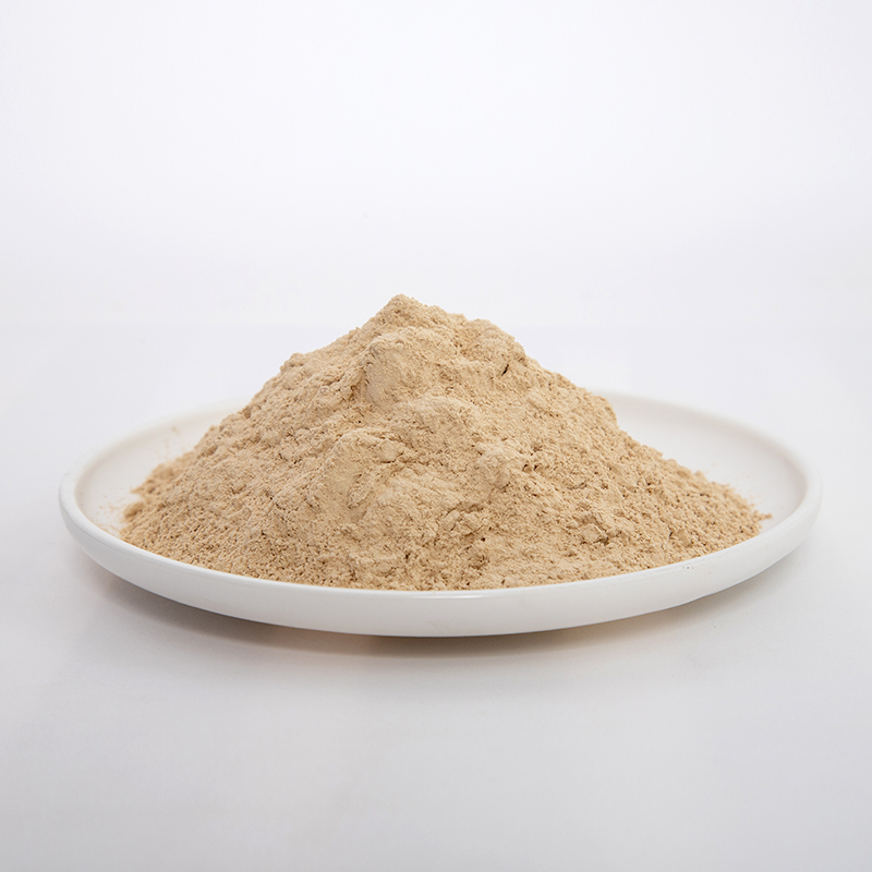 镁砂粉与镁橄榄石粉的区别